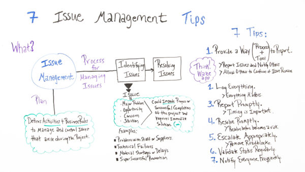 Issue Management Tips Whiteboard screenshot