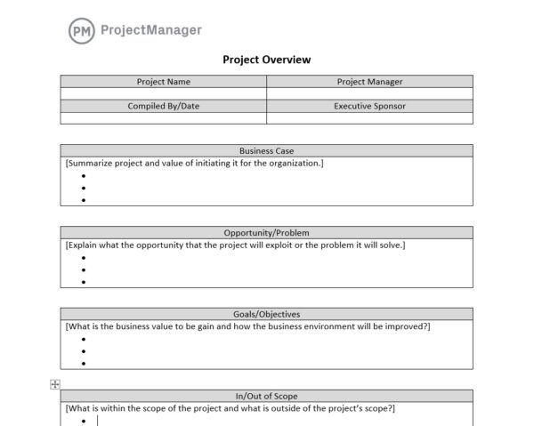 ProjectManager's free project overview template